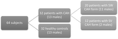 Bone mineral density determinants in adolescents and young adults with congenital adrenal hyperplasia